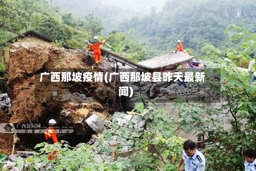 广西那坡疫情(广西那坡县昨天最新闻)