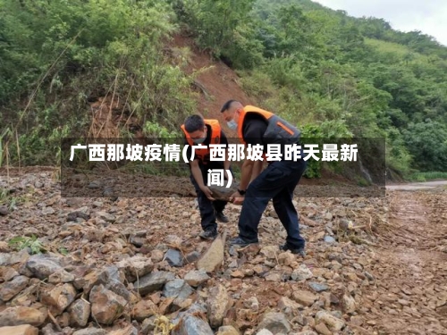 广西那坡疫情(广西那坡县昨天最新闻)-第2张图片