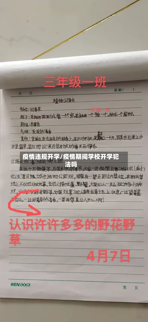 疫情违规开学/疫情期间学校开学犯法吗-第3张图片
