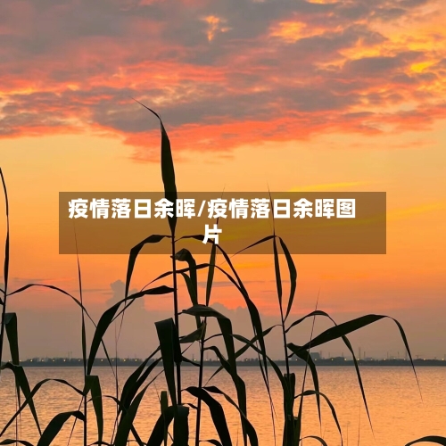 疫情落日余晖/疫情落日余晖图片-第2张图片