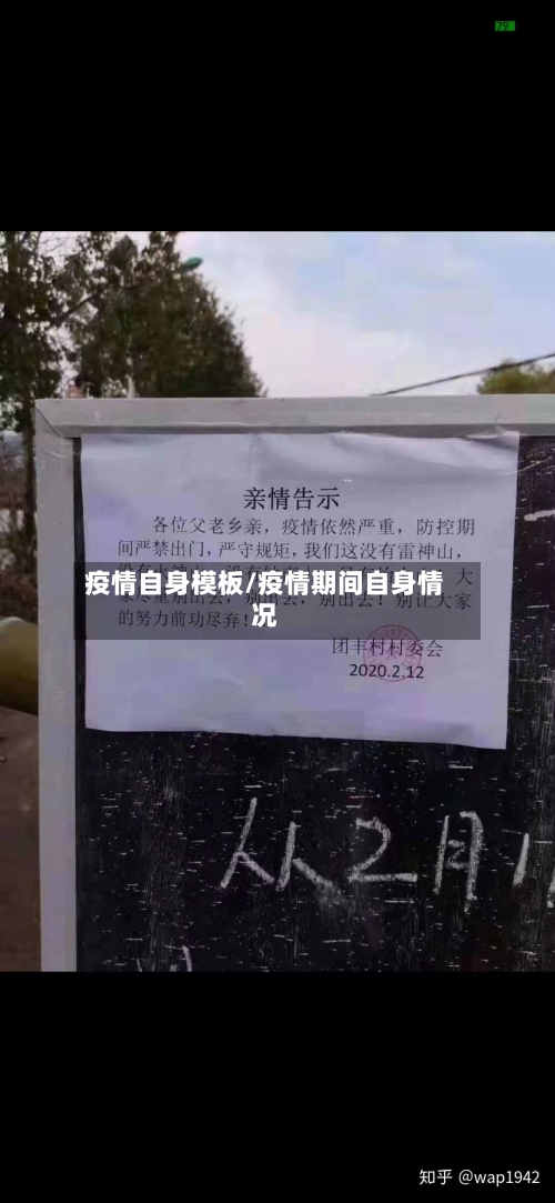 疫情自身模板/疫情期间自身情况