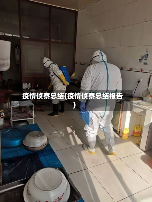 疫情侦察总结(疫情侦察总结报告)-第3张图片