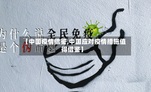 【中国疫情借鉴,中国应对疫情措施值得借鉴】