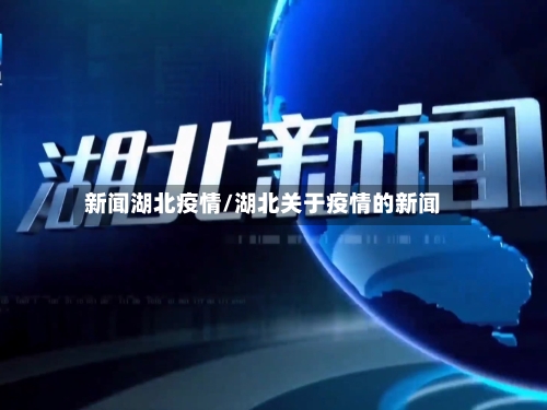 新闻湖北疫情/湖北关于疫情的新闻-第3张图片
