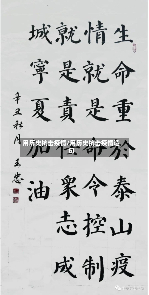 用历史抗击疫情/用历史抗击疫情造句