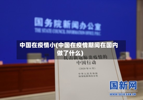 中国在疫情小(中国在疫情期间在国内做了什么)