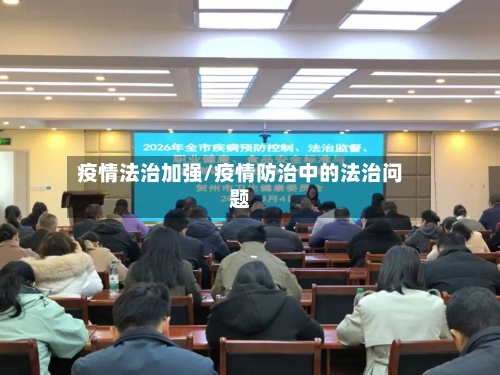 疫情法治加强/疫情防治中的法治问题