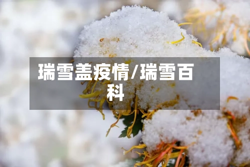瑞雪盖疫情/瑞雪百科