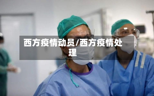 西方疫情动员/西方疫情处理-第3张图片