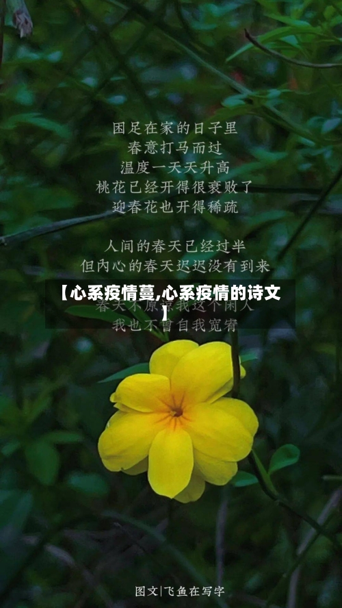 【心系疫情蔓,心系疫情的诗文】-第2张图片