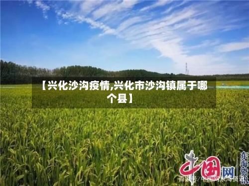 【兴化沙沟疫情,兴化市沙沟镇属于哪个县】-第2张图片