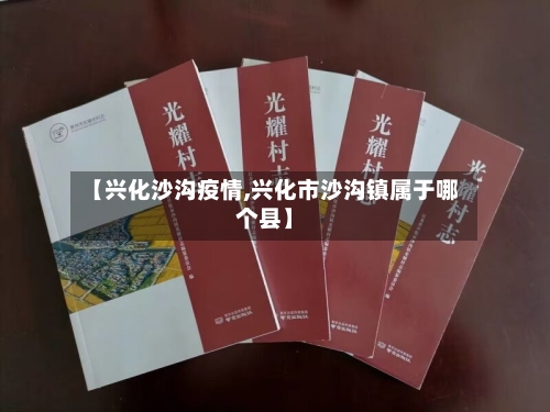 【兴化沙沟疫情,兴化市沙沟镇属于哪个县】