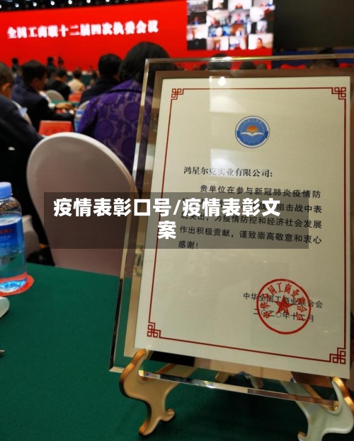 疫情表彰口号/疫情表彰文案-第3张图片