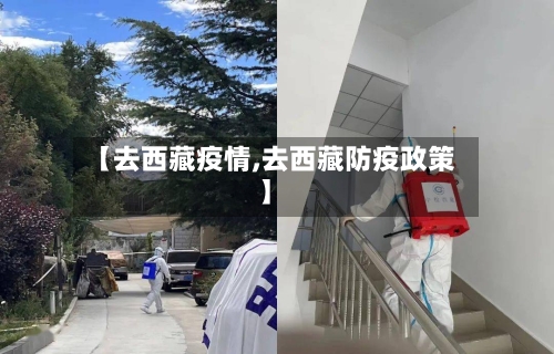 【去西藏疫情,去西藏防疫政策】-第2张图片