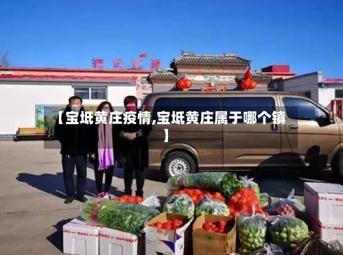 【宝坻黄庄疫情,宝坻黄庄属于哪个镇】