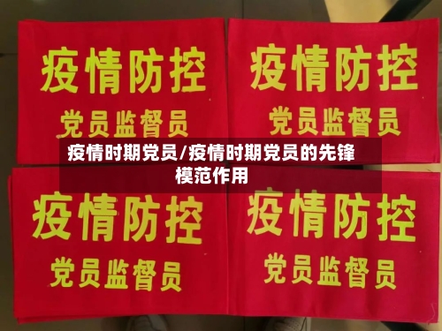 疫情时期党员/疫情时期党员的先锋模范作用