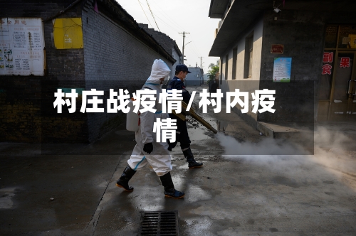 村庄战疫情/村内疫情