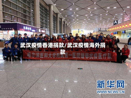 武汉疫情香港捐款/武汉疫情海外捐款-第2张图片