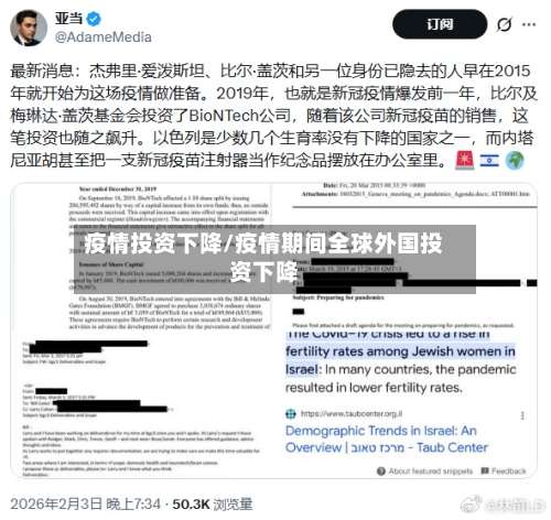 疫情投资下降/疫情期间全球外国投资下降-第3张图片