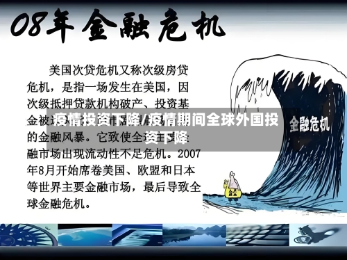 疫情投资下降/疫情期间全球外国投资下降
