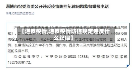 【违反疫情,违反疫情防控规定违反什么纪律】-第3张图片