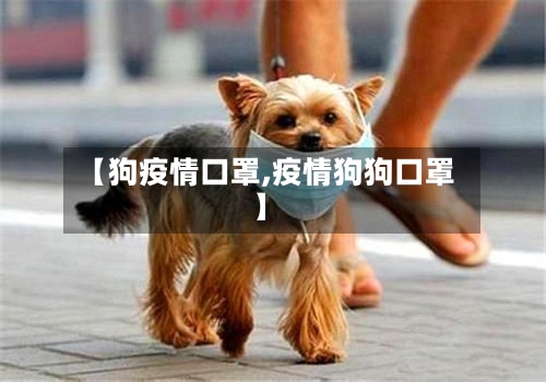 【狗疫情口罩,疫情狗狗口罩】