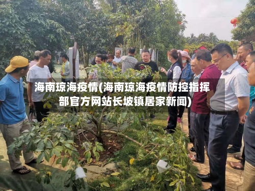 海南琼海疫情(海南琼海疫情防控指挥部官方网站长坡镇居家新闻)-第2张图片