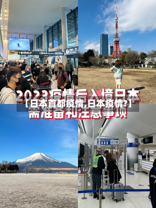 【日本首都疫情,日本疫情?】-第2张图片