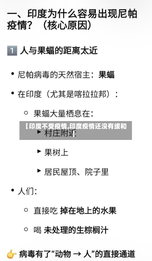 【印度不受疫情,印度疫情还没有缓和】-第2张图片