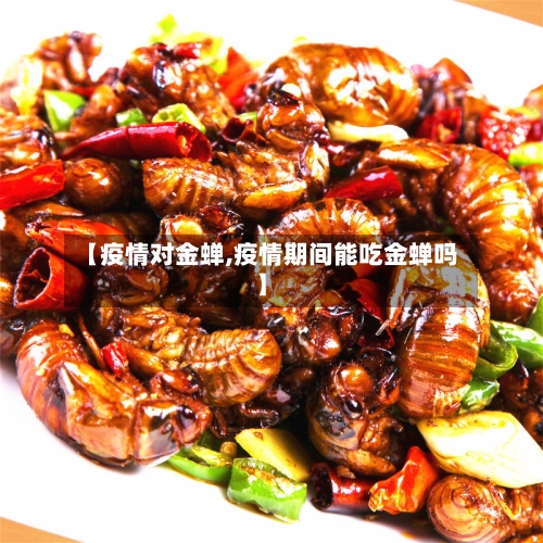 【疫情对金蝉,疫情期间能吃金蝉吗】-第2张图片