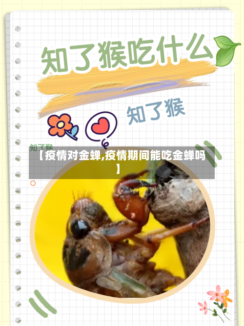 【疫情对金蝉,疫情期间能吃金蝉吗】-第3张图片