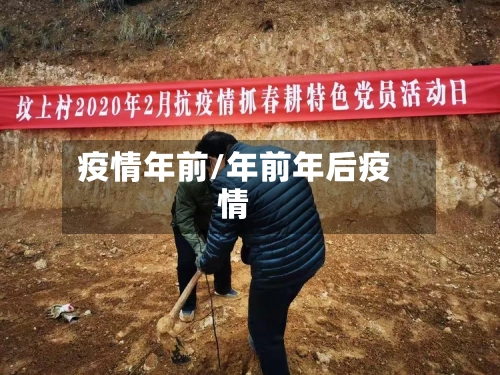 疫情年前/年前年后疫情