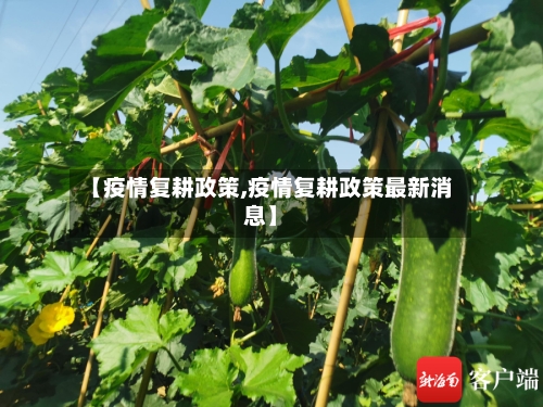 【疫情复耕政策,疫情复耕政策最新消息】-第3张图片