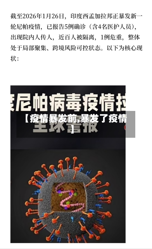 【疫情暴发前,暴发了疫情】-第2张图片