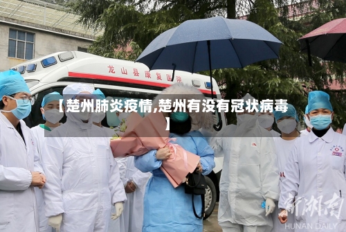 【楚州肺炎疫情,楚州有没有冠状病毒】-第2张图片