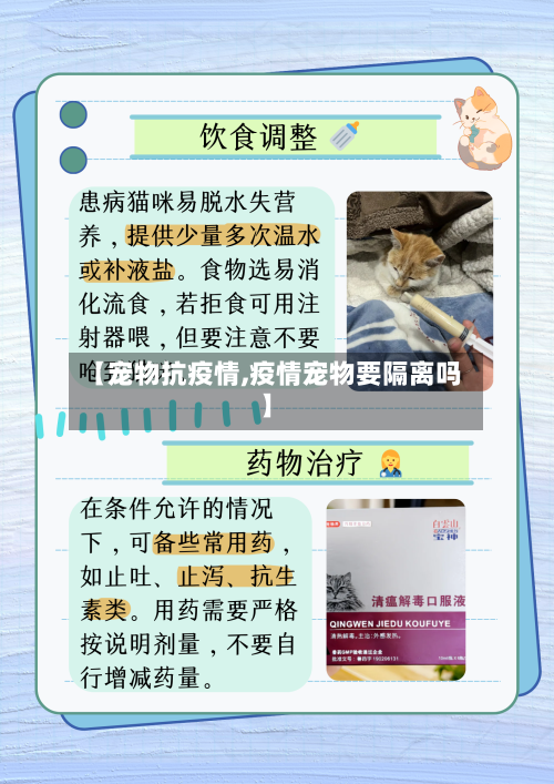 【宠物抗疫情,疫情宠物要隔离吗】
