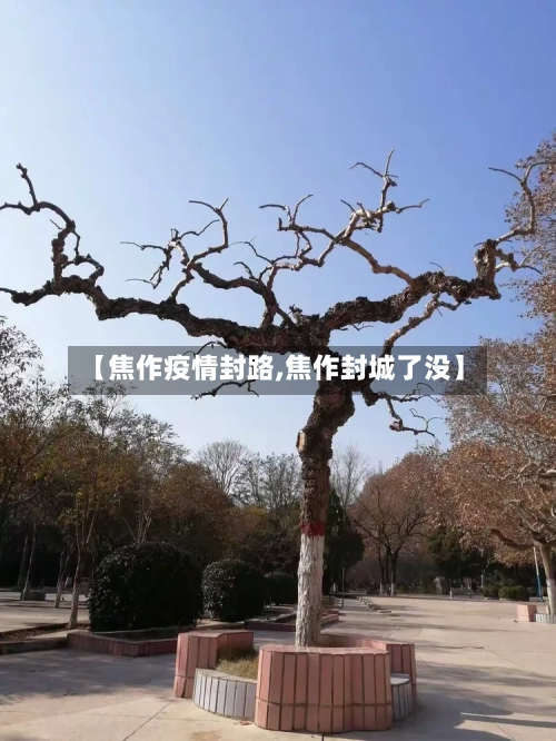 【焦作疫情封路,焦作封城了没】-第3张图片