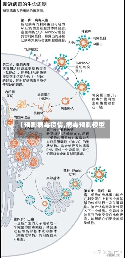 【预测病毒疫情,病毒预测模型】