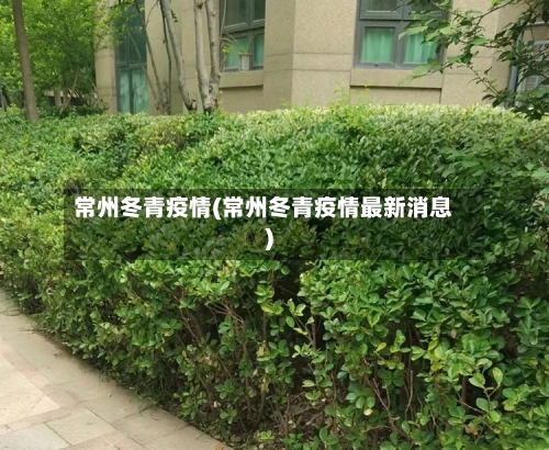 常州冬青疫情(常州冬青疫情最新消息)