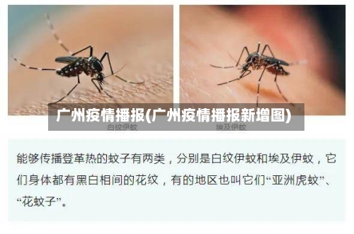 广州疫情播报(广州疫情播报新增图)-第3张图片