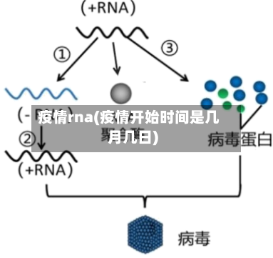 疫情rna(疫情开始时间是几月几日)