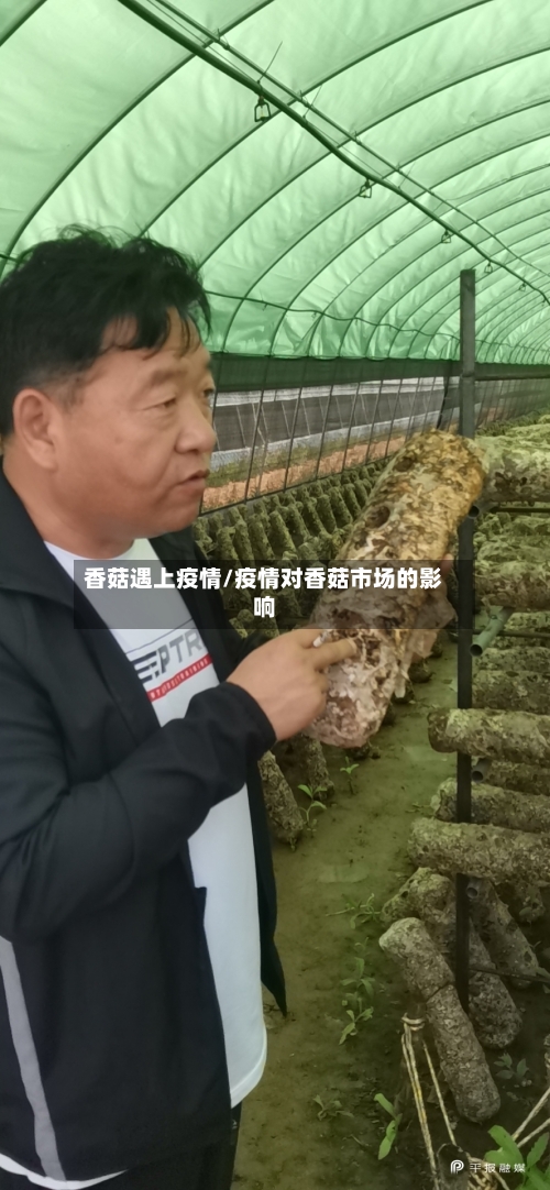 香菇遇上疫情/疫情对香菇市场的影响