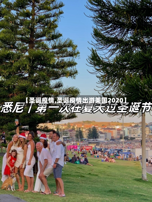 【圣诞疫情,圣诞疫情出游美国2020】