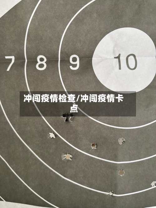 冲闯疫情检查/冲闯疫情卡点-第3张图片