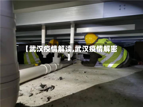 【武汉疫情解读,武汉疫情解密】-第3张图片