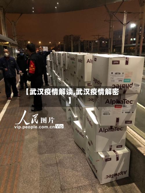 【武汉疫情解读,武汉疫情解密】