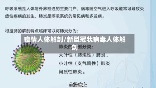 疫情人体解剖/新型冠状病毒人体解剖-第2张图片