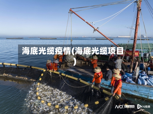 海底光缆疫情(海底光缆项目)-第3张图片