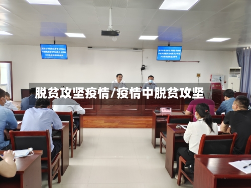 脱贫攻坚疫情/疫情中脱贫攻坚