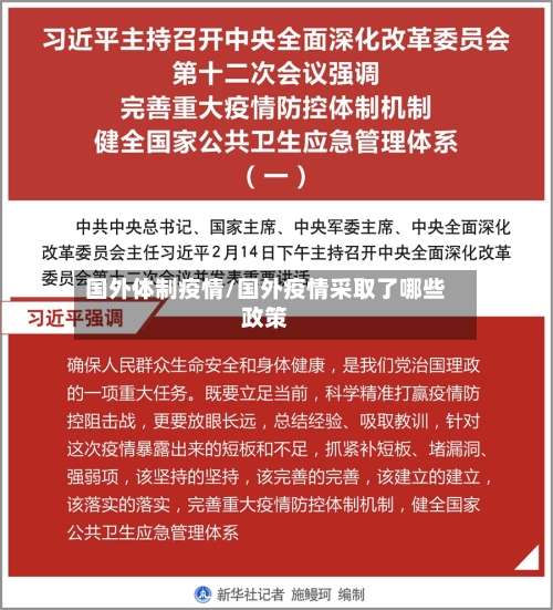 国外体制疫情/国外疫情采取了哪些政策